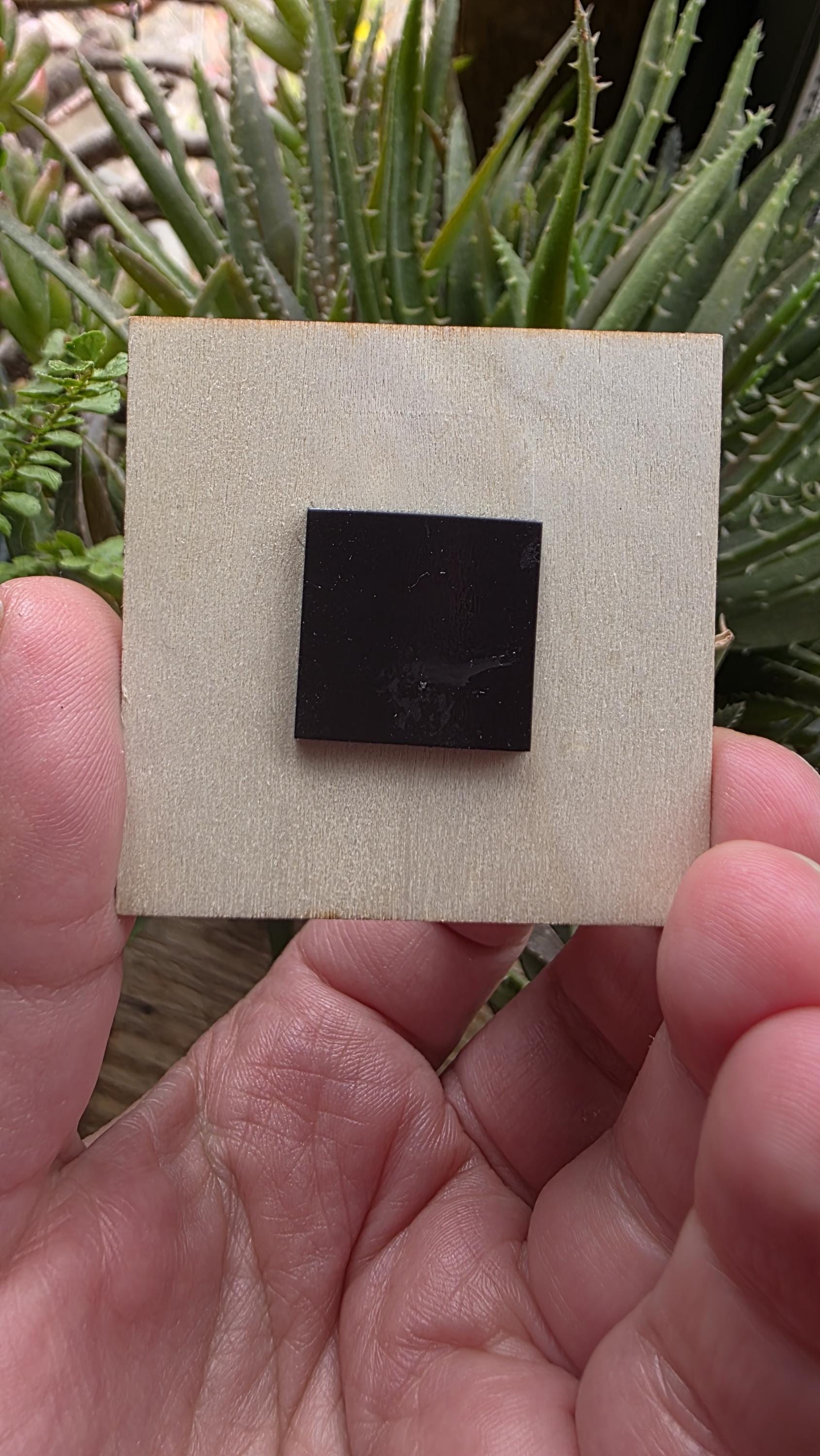 Against the Aristocracy Denying Equitable Control Magnet, One of a Kind Magnet Made from an Upcycled Book