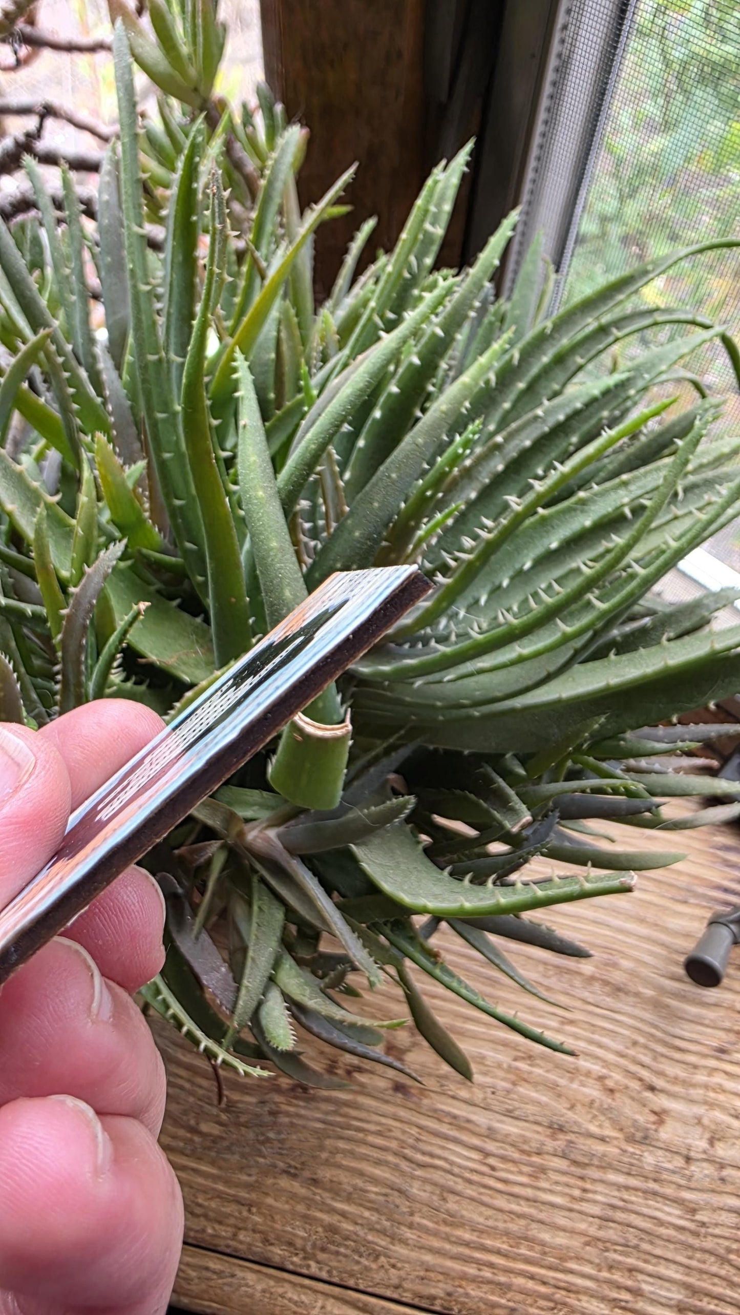 Research consists of elements.... | Literary Magnets, Blackout Poetry, Orange and Blue Design