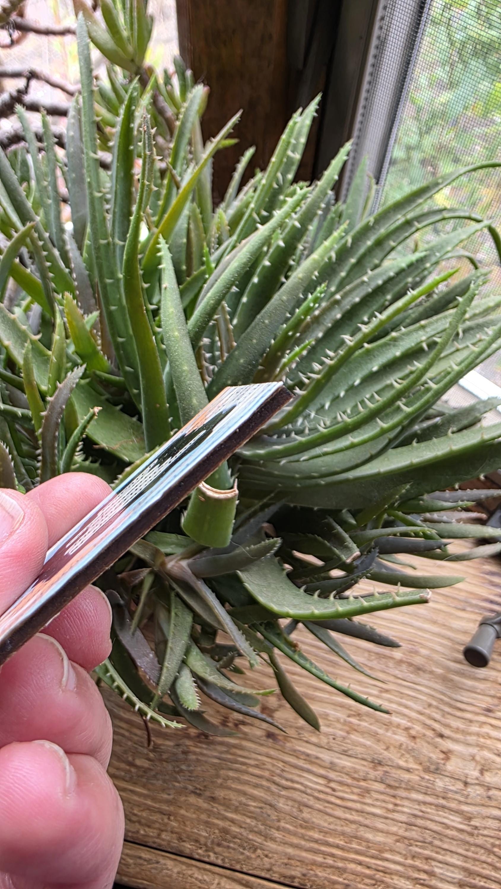 Research consists of elements.... | Literary Magnets, Blackout Poetry, Orange and Blue Design