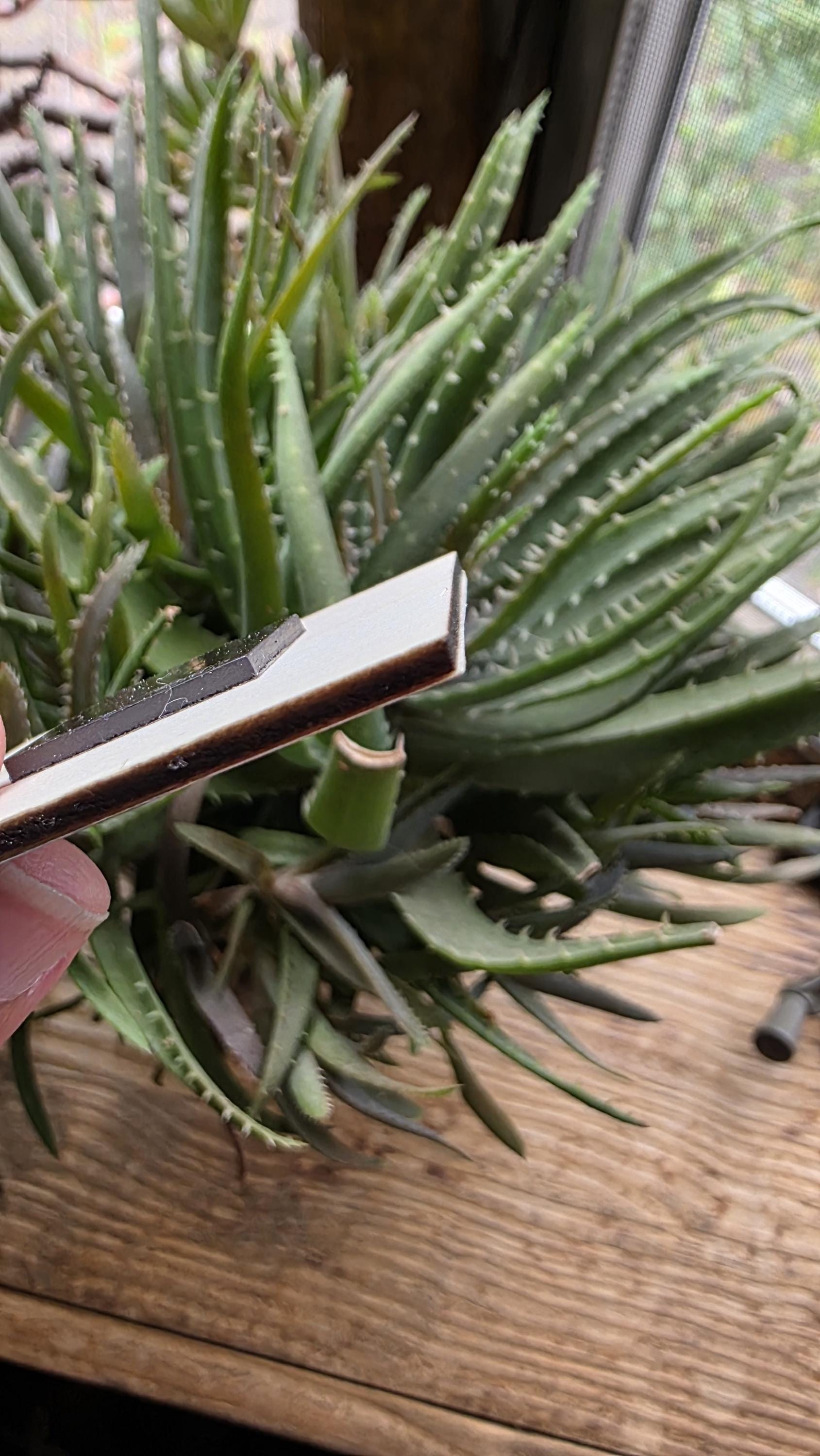 Research consists of elements.... | Literary Magnets, Blackout Poetry, Orange and Blue Design